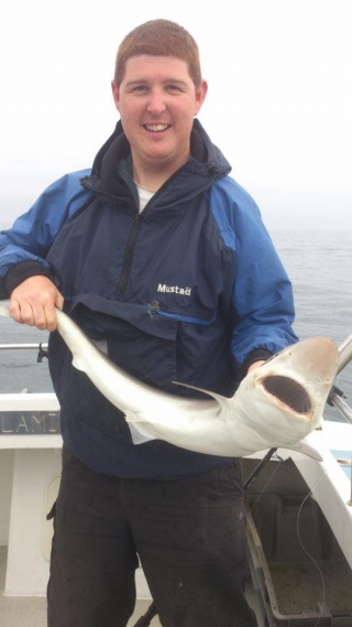  Pesca di squali 